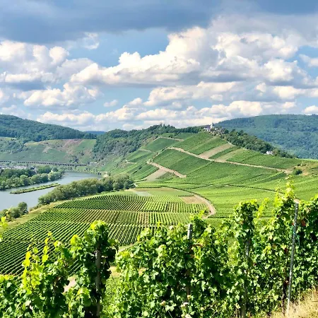 Haus Am Rhein Mit Self Check-in Und P *