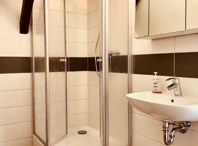 Haus Am Rhein Mit Self Check-in Und P Koblenc