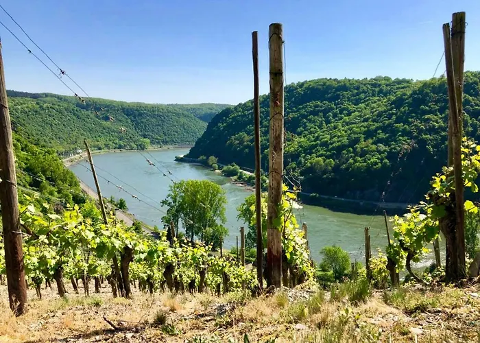 Haus Am Rhein Mit Self Check-in Und P Koblenc