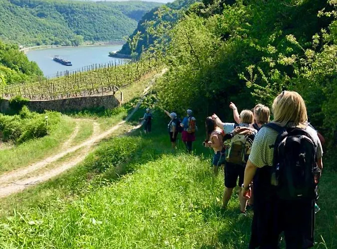 Lägenhet Haus Am Rhein Mit Self Check-in Und P Koblenz (Rhineland-Palatinate)